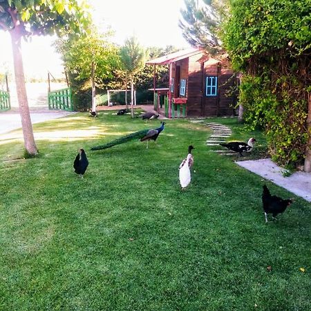 Vila Refugio Con Casitas Infantiles Zamora Exteriér fotografie